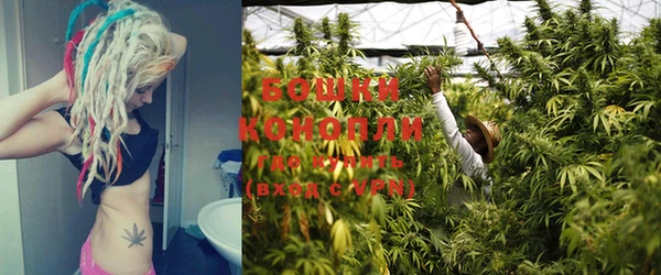 прущие крисы Верея