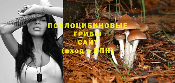 MDMA Premium VHQ Верхний Тагил