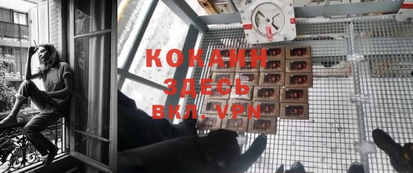 прущие крисы Верея